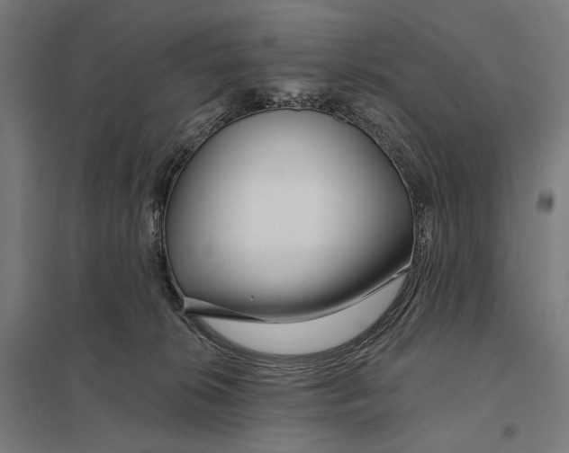 X0000097750276200803281617