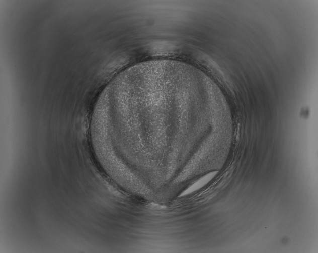 X0000097750277200803281617