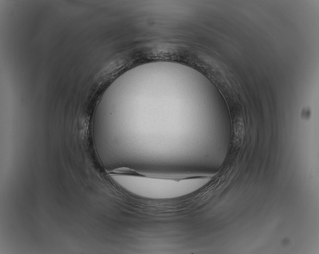 X0000097750278200803281617