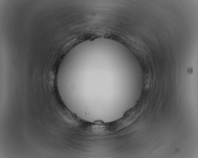 X0000097750279200803281617