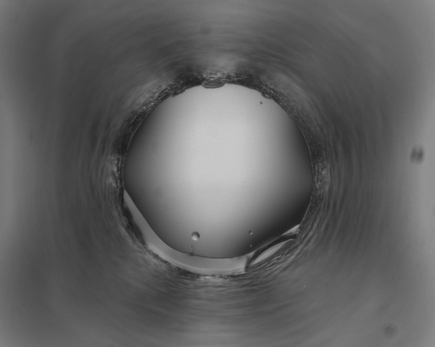 X0000097750280200803281617