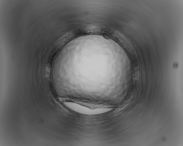 X0000097750281200803281617