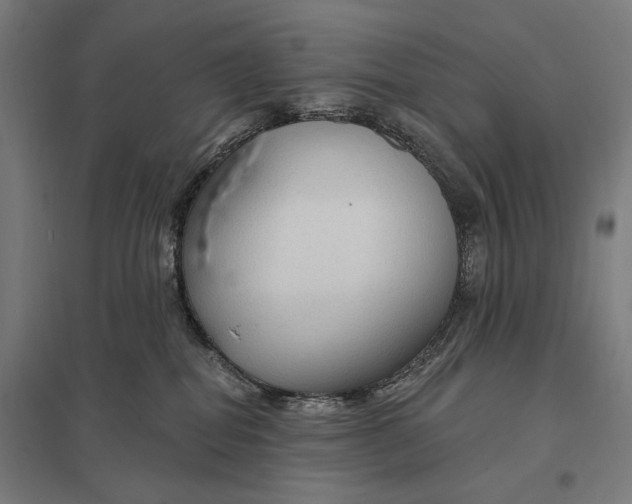 X0000097750282200803281617