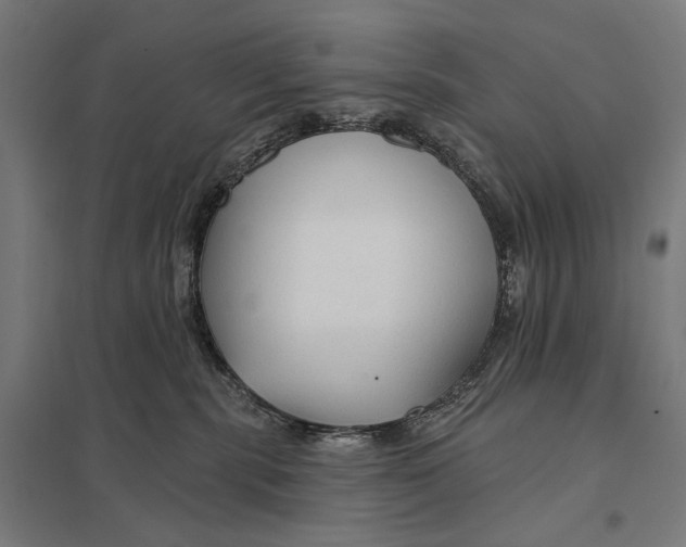 X0000097750283200803281617