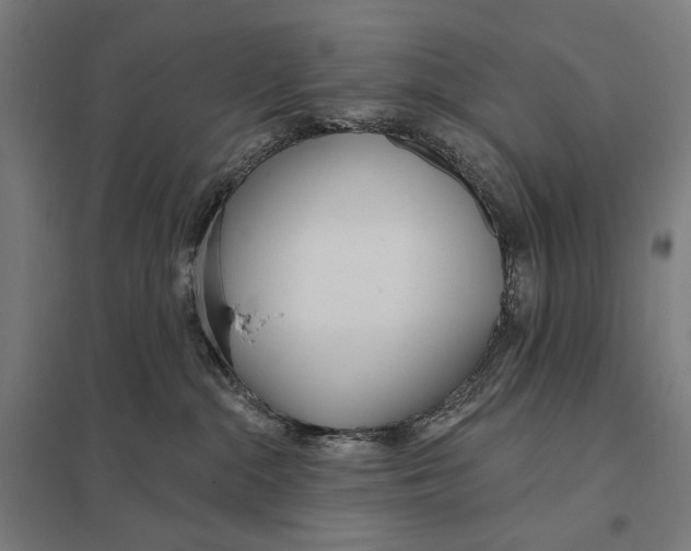 X0000097750284200803281617