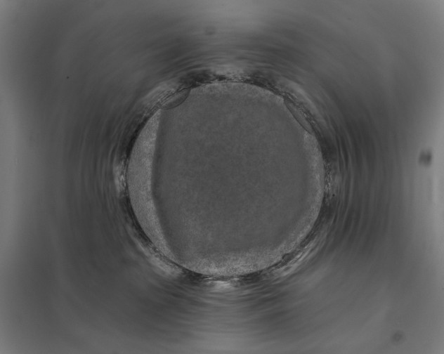 X0000097750285200803281617