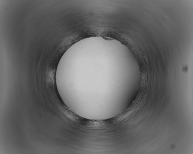 X0000097750286200803281617