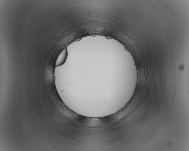 X0000097750287200803281617