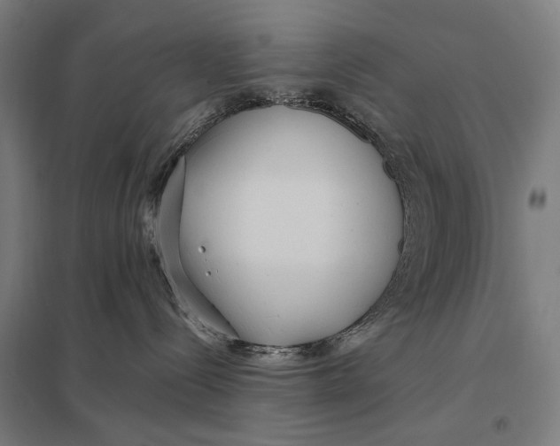 X0000097750288200803281617