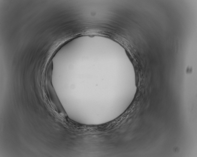 X0000097750289200803281616