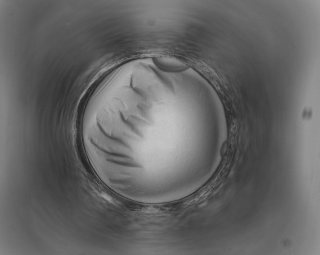 X0000097750290200803281616