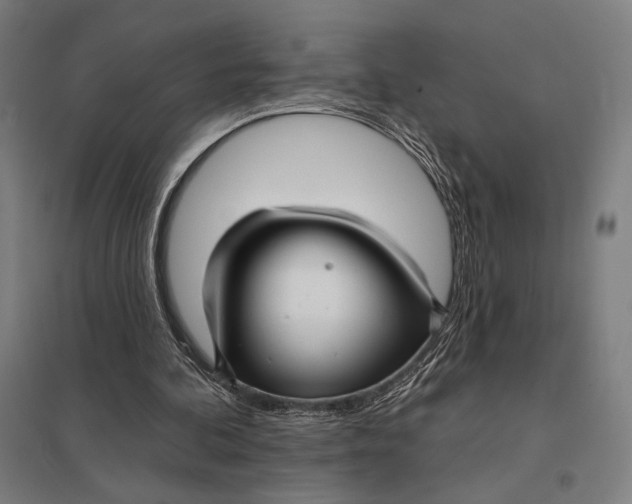 X0000097750292200803281616