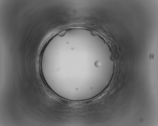 X0000097750293200803281616