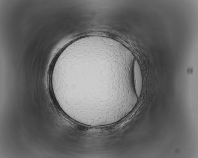 X0000097750294200803281616