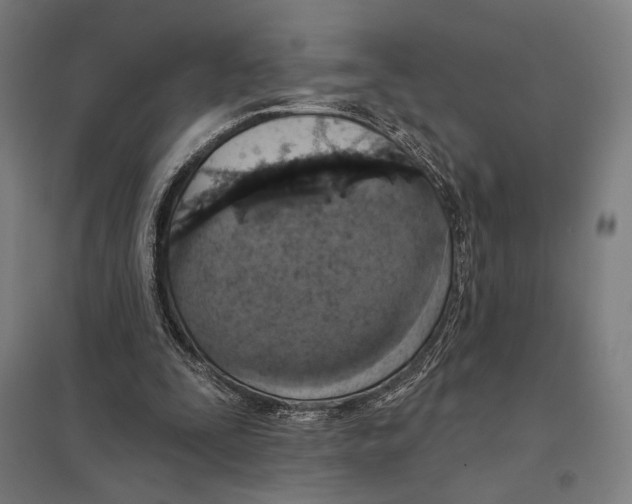 X0000097750295200803281616