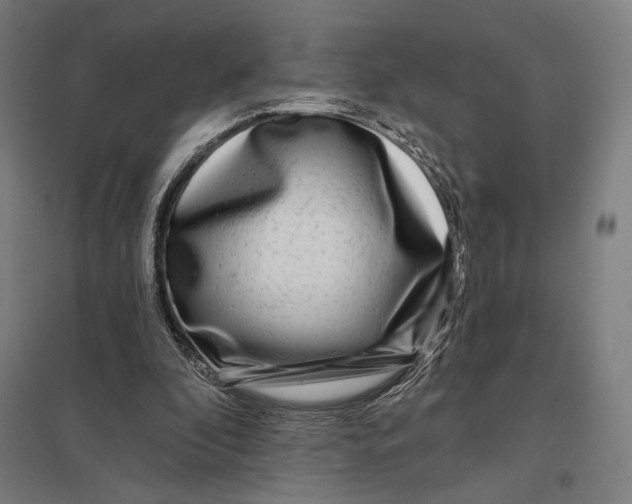 X0000097750296200803281616