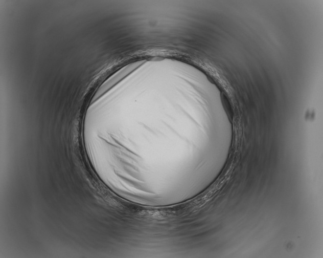 X0000097750297200803281616