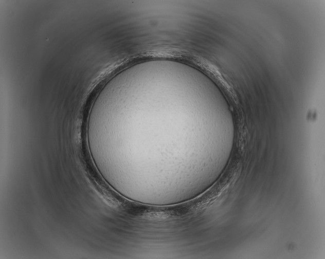 X0000097750299200803281616