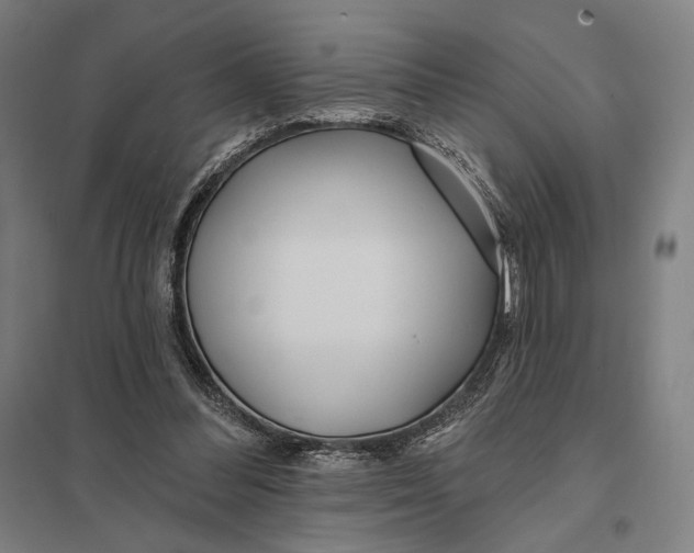 X0000097750300200803281616