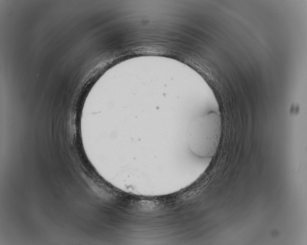 X0000097750302200803281616