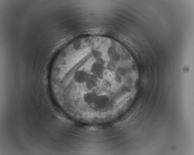 X0000097750303200803281616