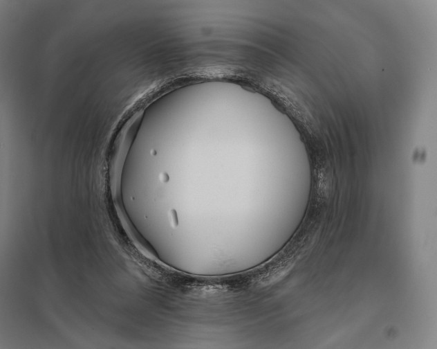 X0000097750304200803281616