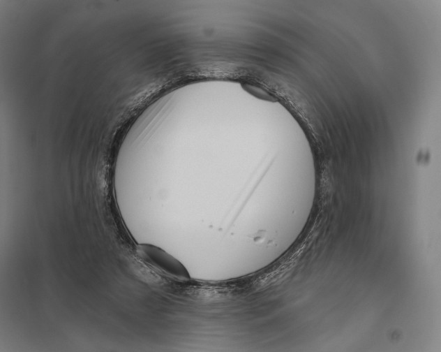 X0000097750305200803281616