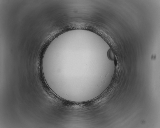 X0000097750306200803281616