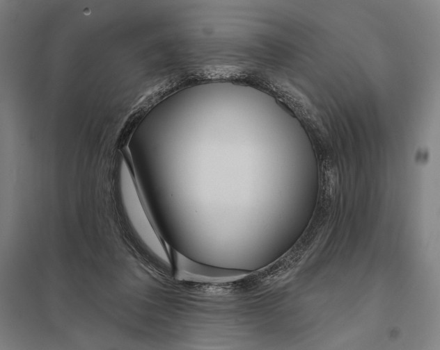 X0000097750308200803281616