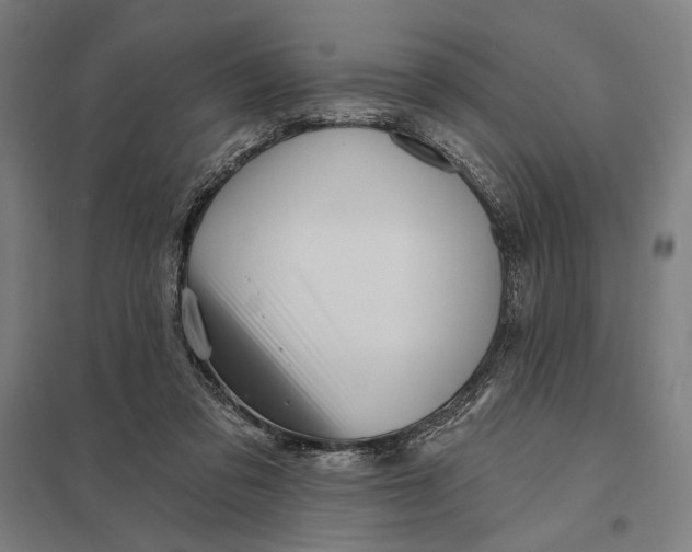 X0000097750309200803281616