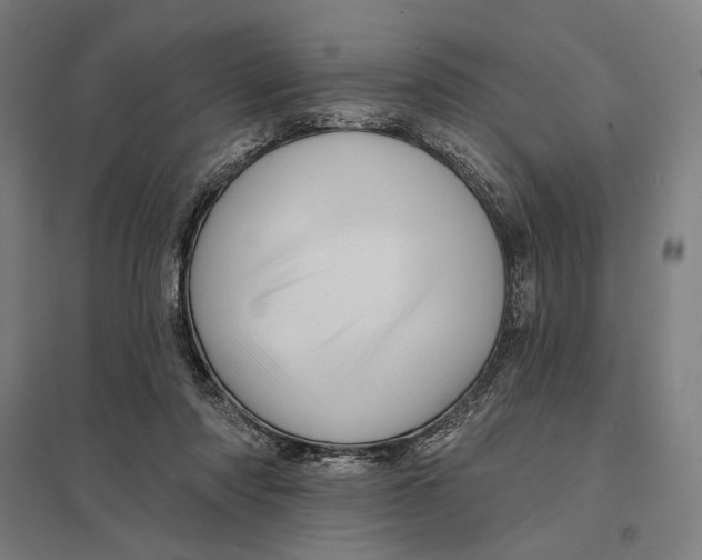 X0000097750310200803281616