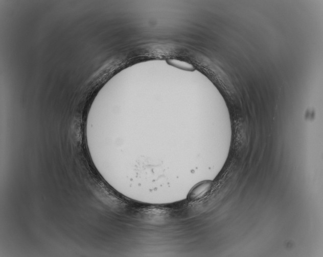 X0000097750313200803281616