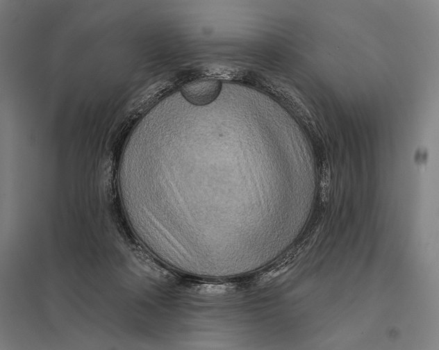 X0000097750314200803281616