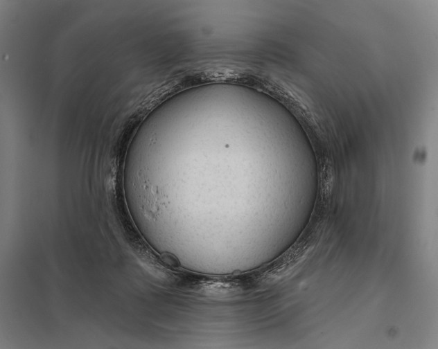 X0000097750315200803281616