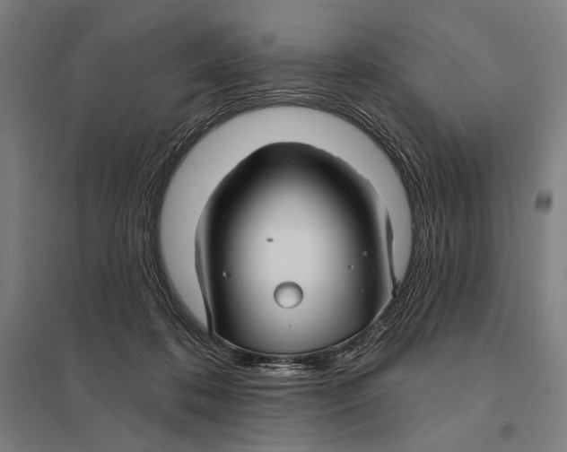 X0000097750316200803281616