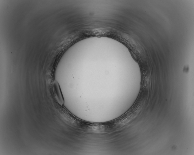 X0000097750317200803281616