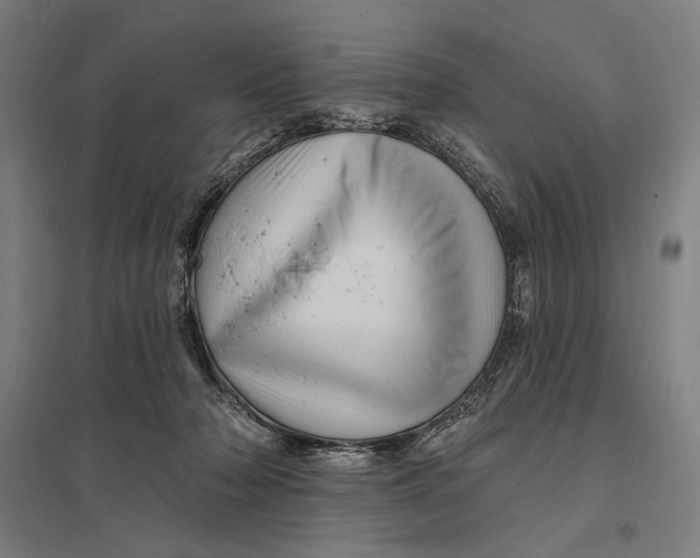 X0000097750318200803281616