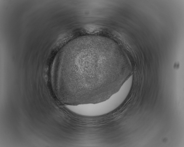 X0000097750319200803281616