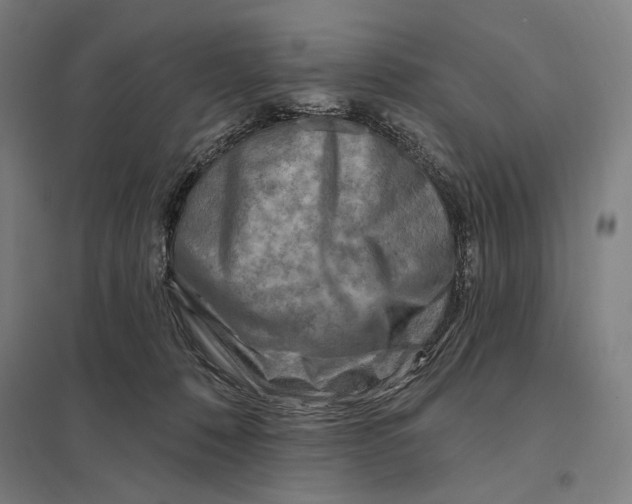 X0000097750320200803281616