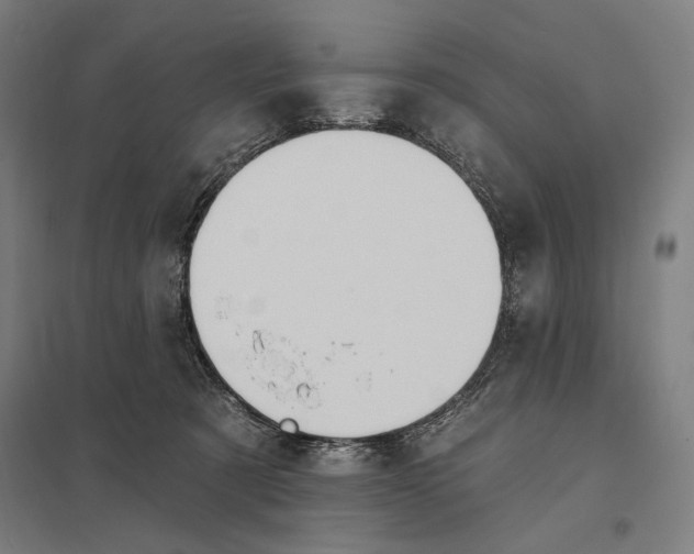 X0000097750321200803281616