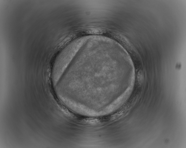 X0000097750322200803281616