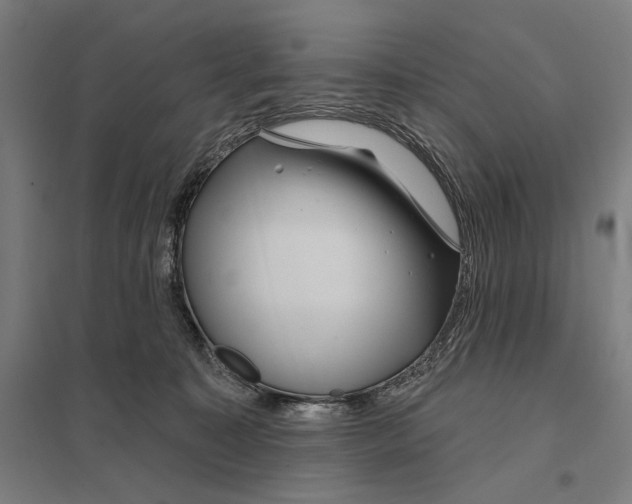 X0000097750323200803281616