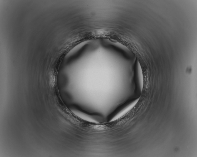 X0000097750324200803281616