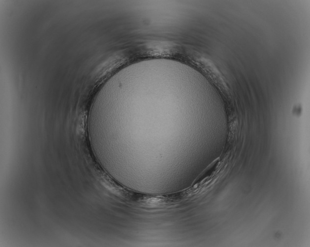 X0000097750325200803281616