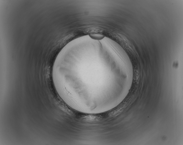 X0000097750326200803281616