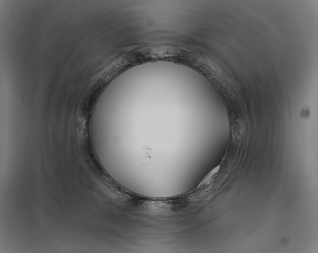 X0000097750327200803281616