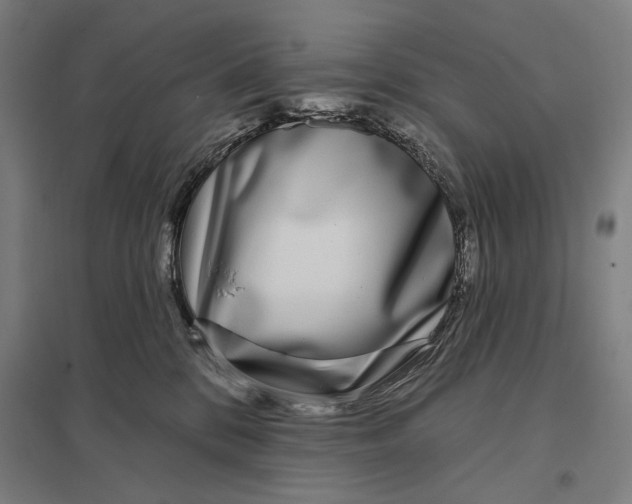 X0000097750328200803281616