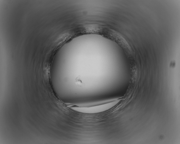 X0000097750329200803281616