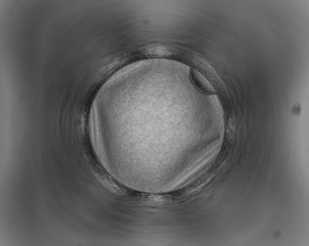 X0000097750330200803281616