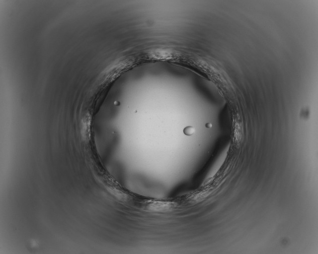 X0000097750332200803281616